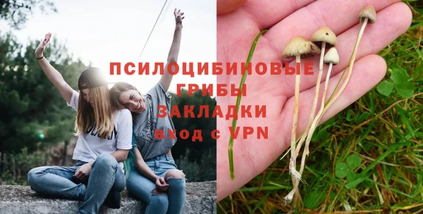2c-b Абаза