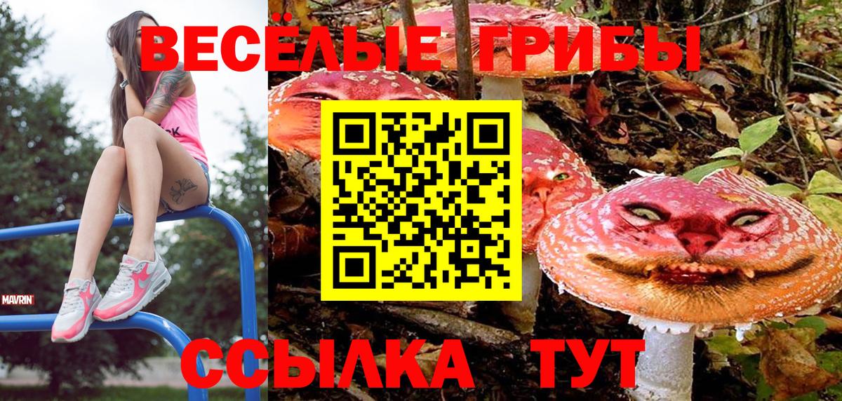 Галлюциногенные грибы прущие грибы  Вход с VPN  Серпухов 